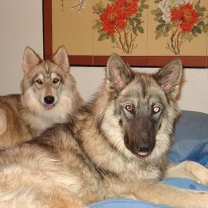 Meet your Posher, Vivian